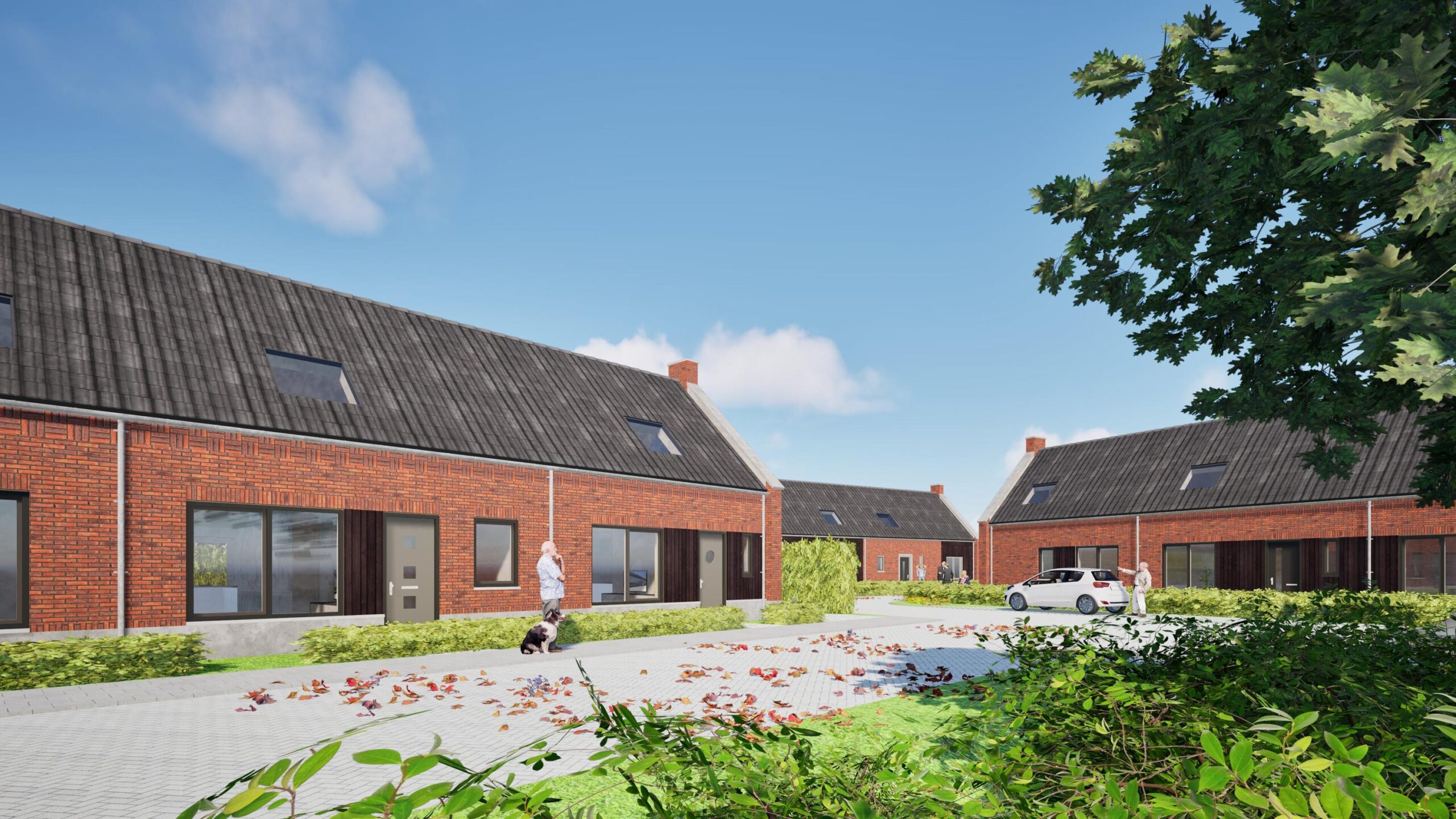 2565_20251218_streetview02