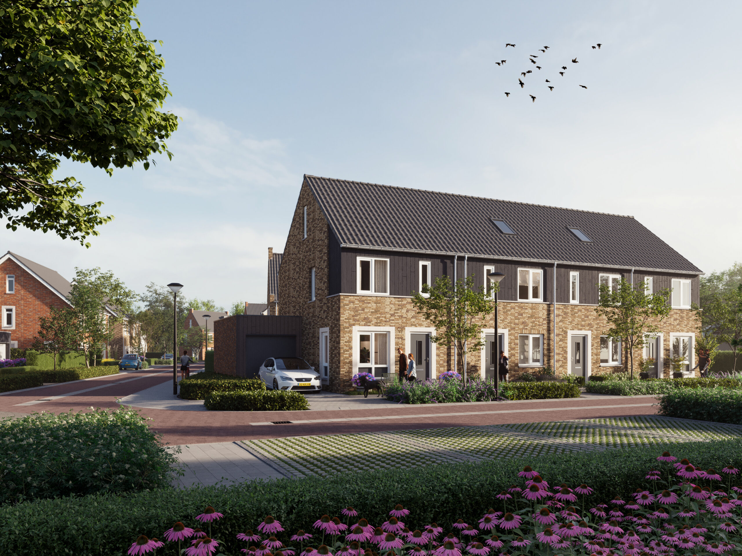 Oploo_Blauwe_Beek_Fase2_Cam1_v8