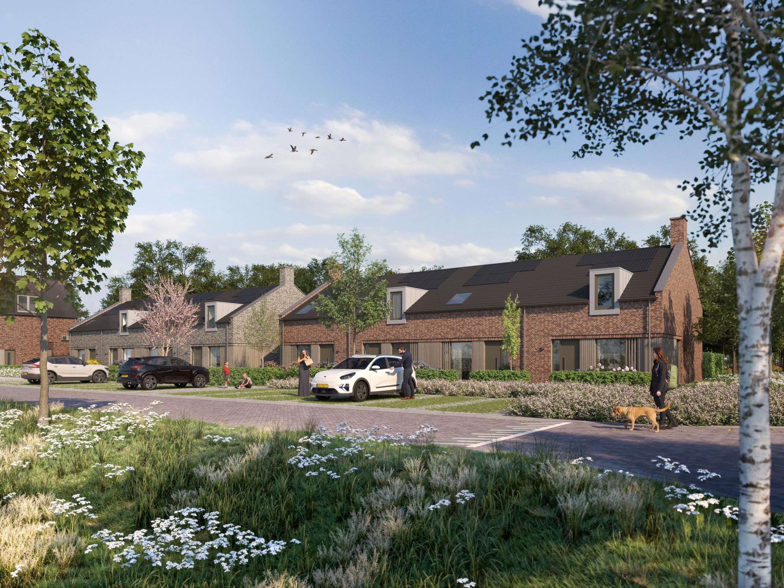 3481_EXT_De_weidse_peel_fase_2_03_HR