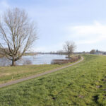 Maas
